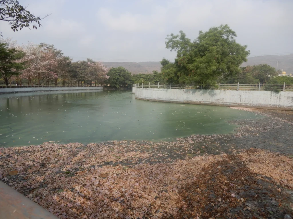 central park kharghar